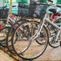 Used Vehicles